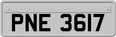 PNE3617