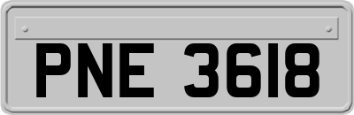 PNE3618