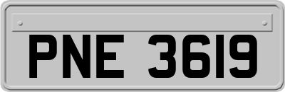 PNE3619