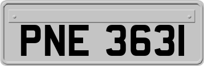 PNE3631