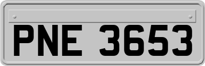 PNE3653