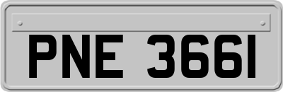 PNE3661