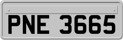 PNE3665