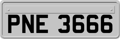 PNE3666