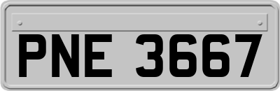 PNE3667