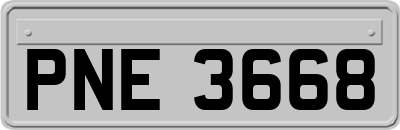 PNE3668