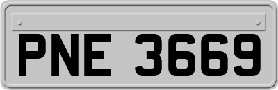 PNE3669