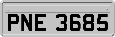 PNE3685