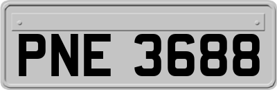 PNE3688