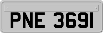 PNE3691