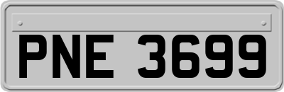 PNE3699