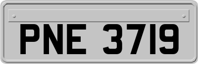 PNE3719