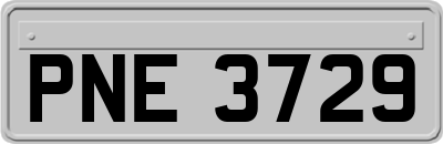 PNE3729