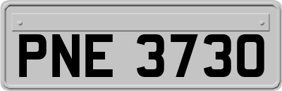 PNE3730