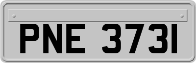 PNE3731