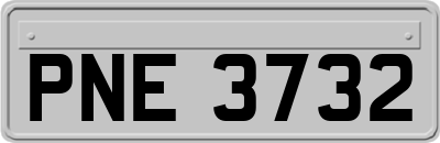 PNE3732