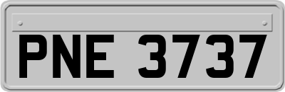 PNE3737