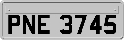 PNE3745