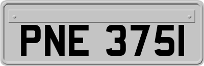 PNE3751