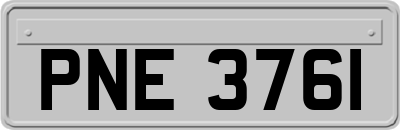 PNE3761