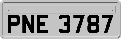 PNE3787