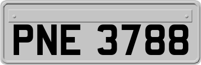 PNE3788