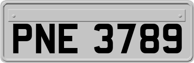 PNE3789