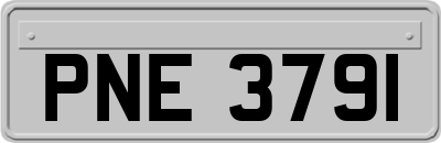 PNE3791