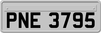 PNE3795
