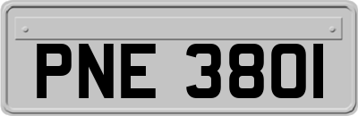 PNE3801