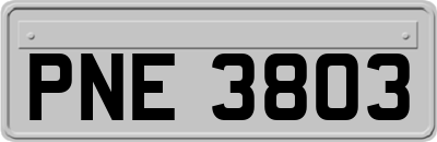 PNE3803