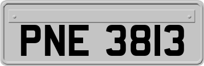 PNE3813