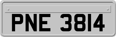 PNE3814
