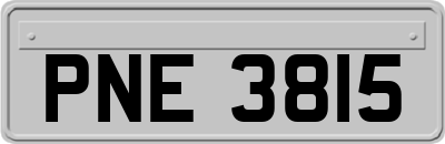 PNE3815
