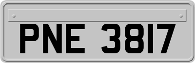 PNE3817