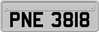 PNE3818