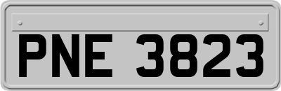 PNE3823