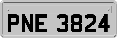 PNE3824