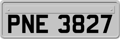 PNE3827