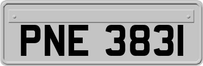 PNE3831