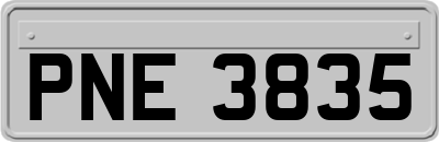 PNE3835