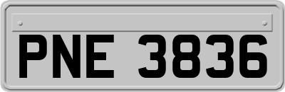 PNE3836