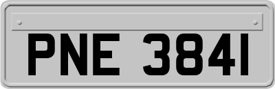 PNE3841