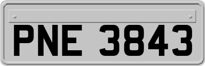 PNE3843