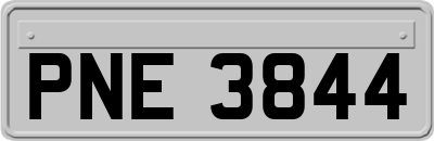 PNE3844