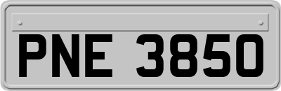 PNE3850