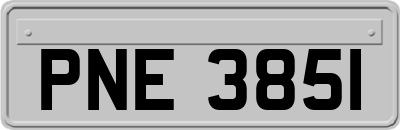 PNE3851