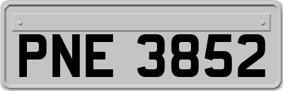 PNE3852