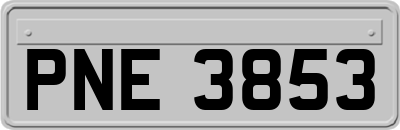 PNE3853