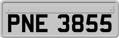 PNE3855